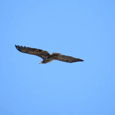 Gut Rattelvitz - Parterre Ost *