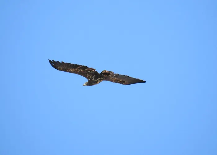 Gut Rattelvitz - Parterre Ost *